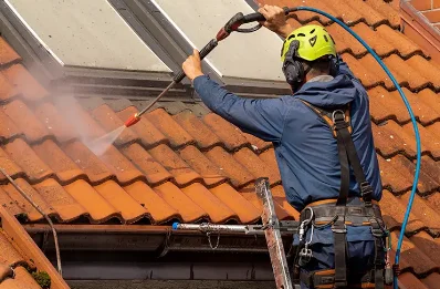 Démoussage et hydrofuge de toiture à Turgon